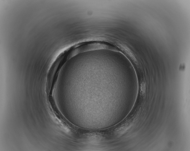 X0000090630724200707241152