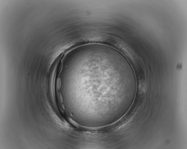 X0000090630725200707241152
