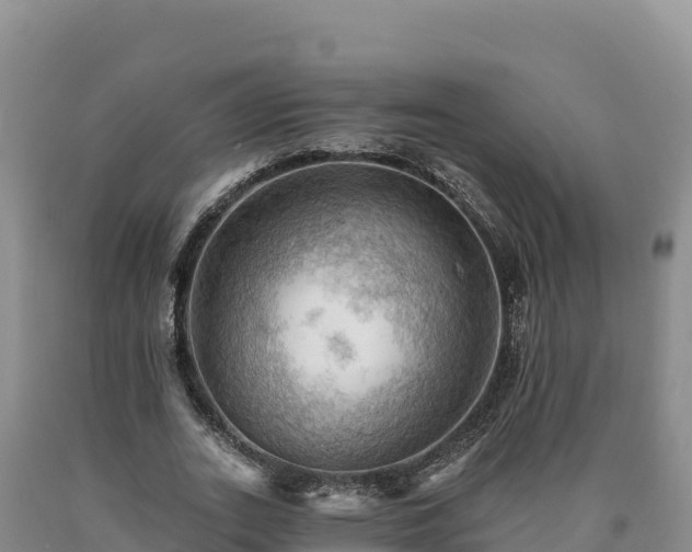 X0000090630727200707241152