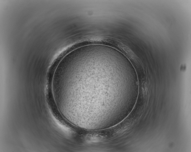 X0000090630728200707241152