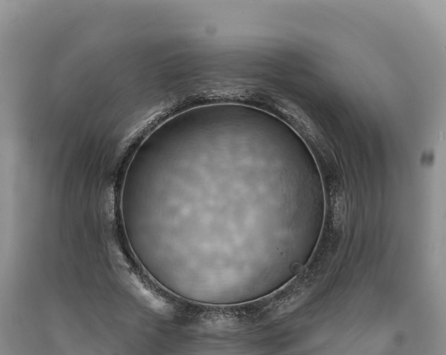 X0000090630729200707241152