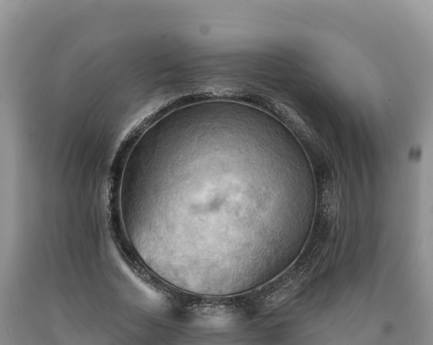 X0000090630730200707241152