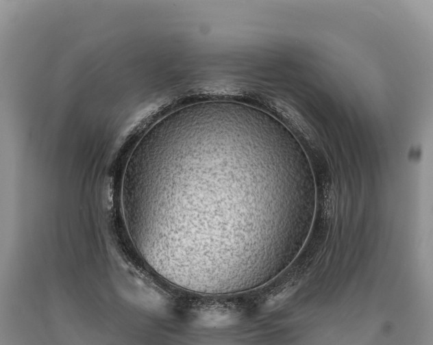 X0000090630731200707241152