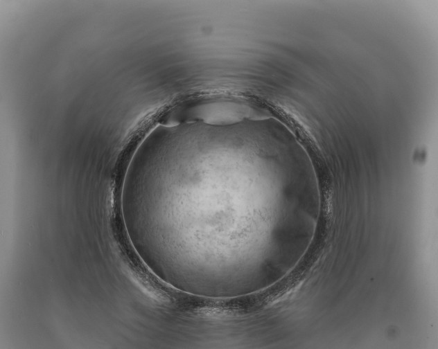 X0000090630733200707241152