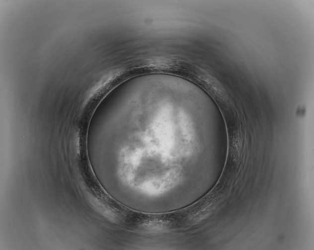 X0000090630734200707241152