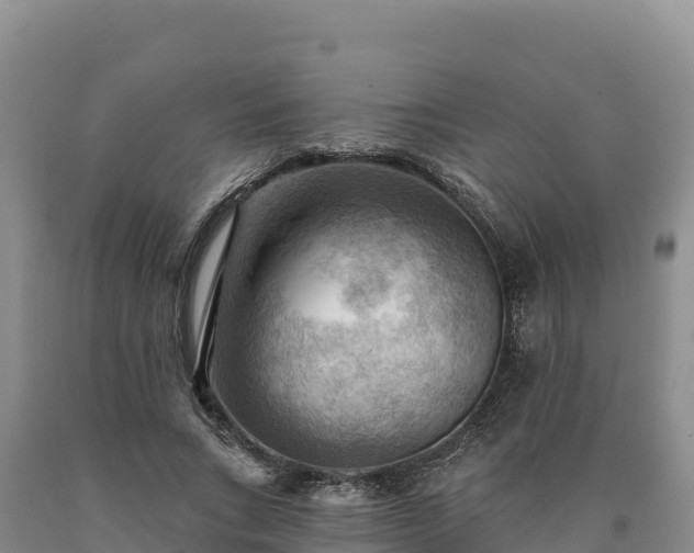 X0000090630735200707241152