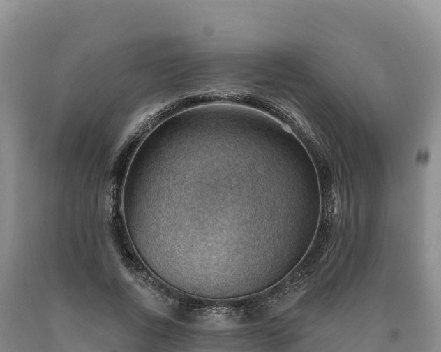 X0000090630736200707241152