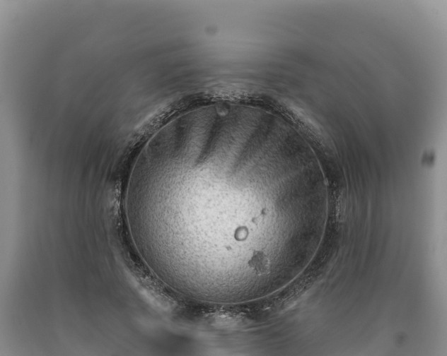 X0000090630737200707241152