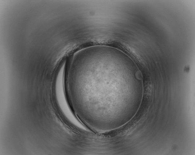 X0000090630738200707241152