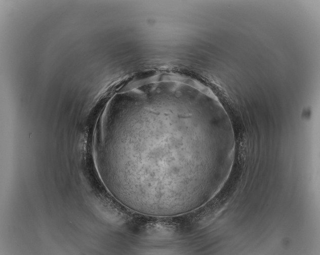 X0000090630739200707241152
