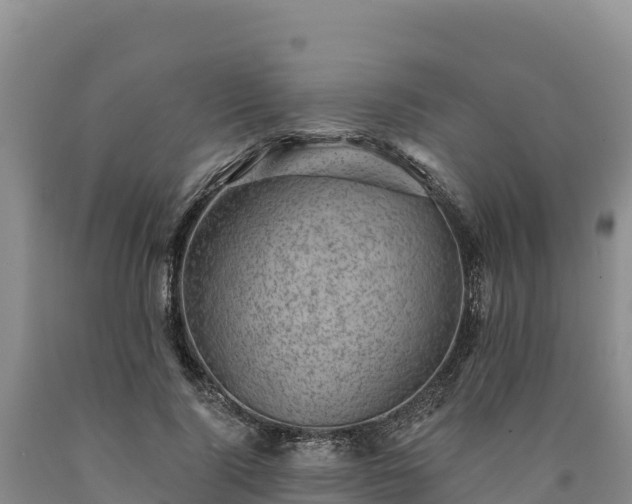 X0000090630740200707241152