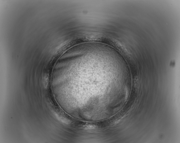 X0000090630741200707241152