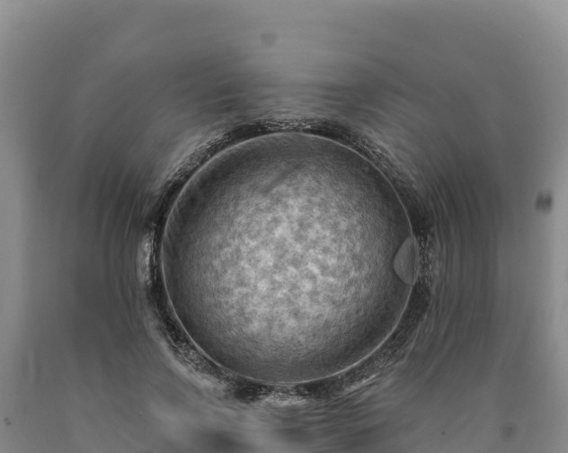 X0000090630742200707241152