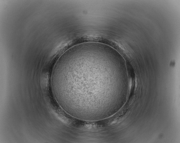 X0000090630744200707241152