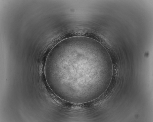 X0000090630745200707241152