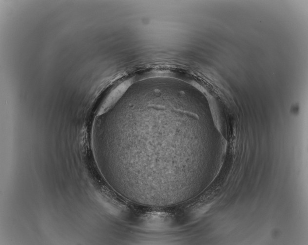 X0000090630748200707241152