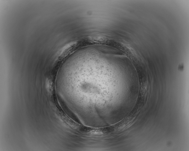 X0000090630749200707241152