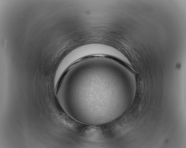 X0000090630750200707241152