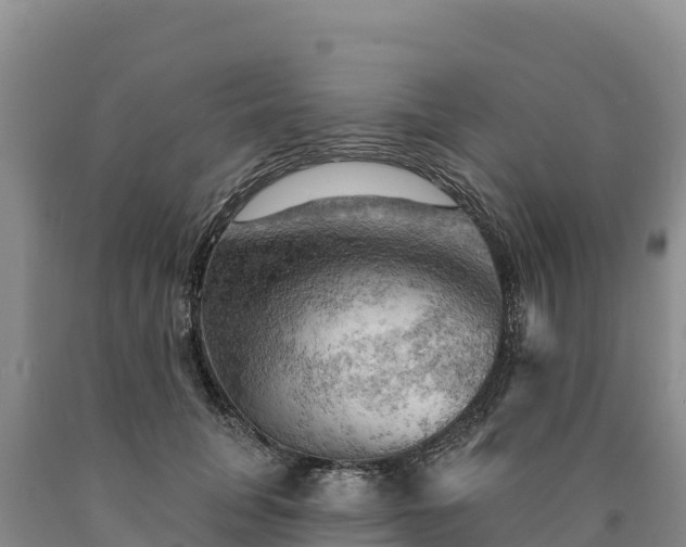 X0000090630751200707241152