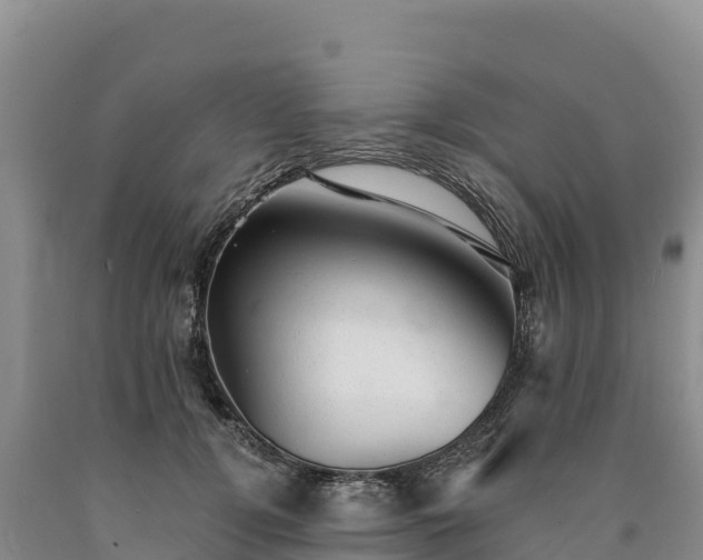 X0000090630752200707241152