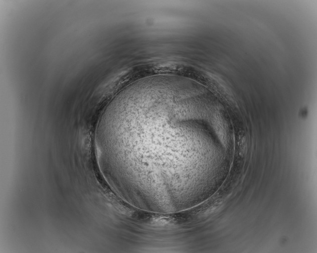 X0000090630753200707241152