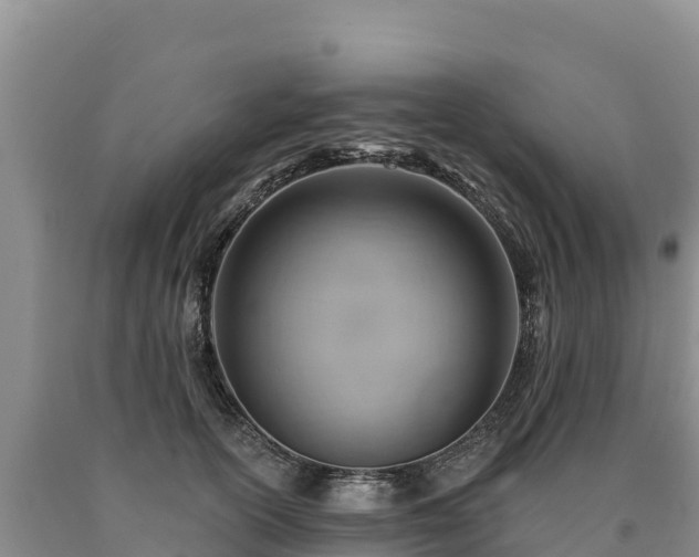 X0000090630754200707241152
