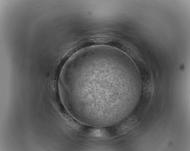 X0000090630755200707241152