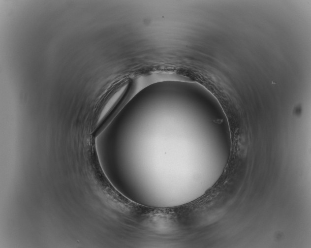 X0000090630756200707241152
