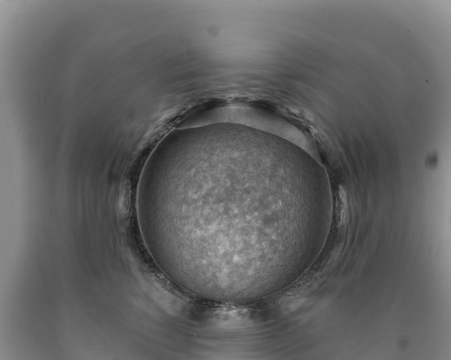 X0000090630760200707241152