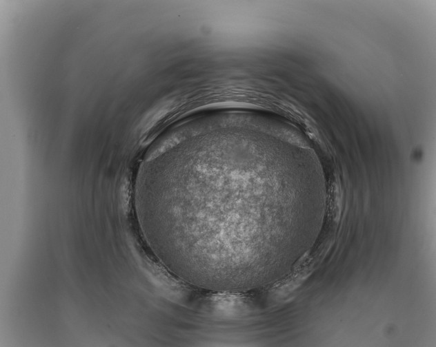 X0000090630762200707241152