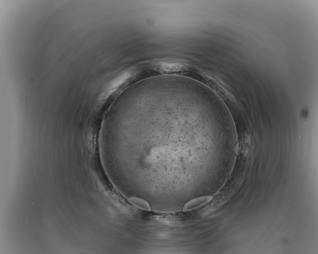 X0000090630763200707241152