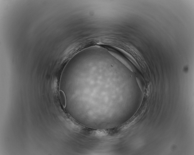 X0000090630765200707241152