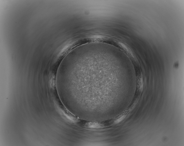 X0000090630766200707241152