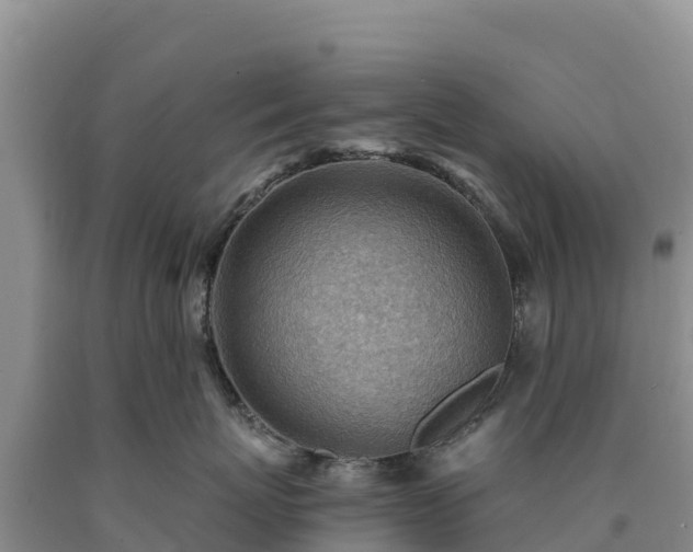 X0000090630767200707241152