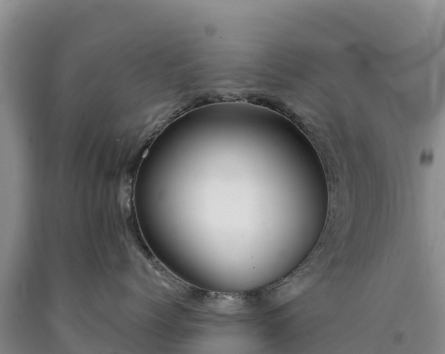 X0000090630768200707241152