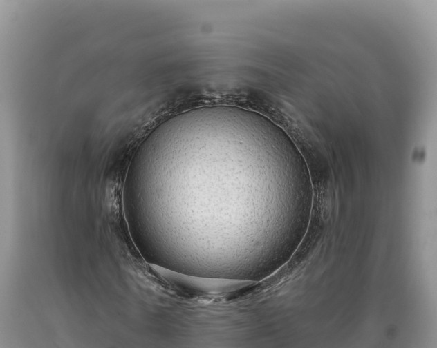 X0000090630770200707241151