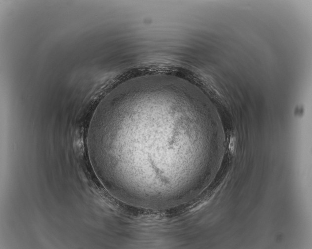 X0000090630771200707241151