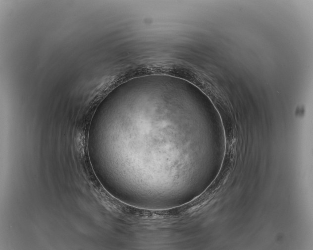 X0000090630772200707241151