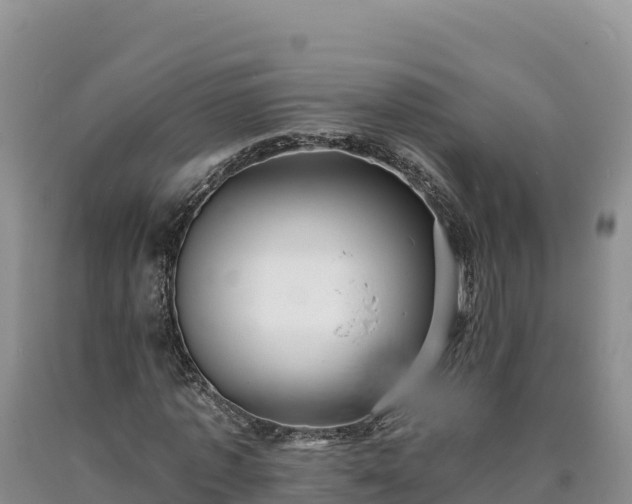 X0000090630773200707241151