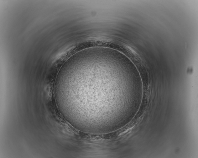 X0000090630774200707241151