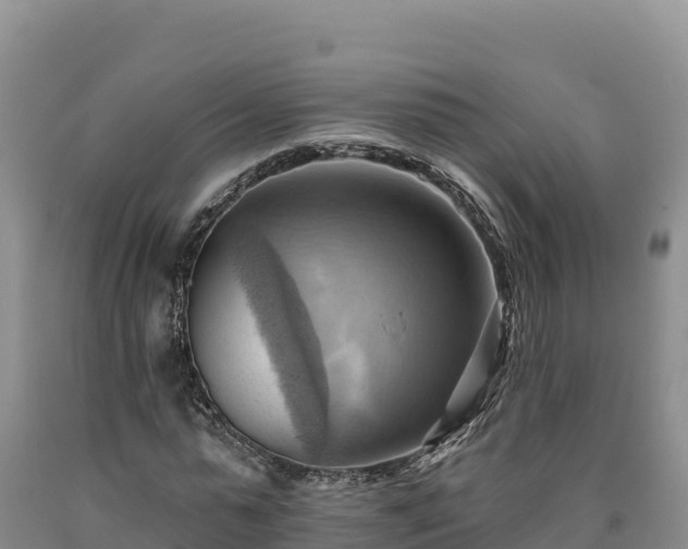 X0000090630775200707241151