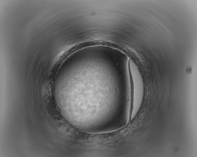 X0000090630776200707241151