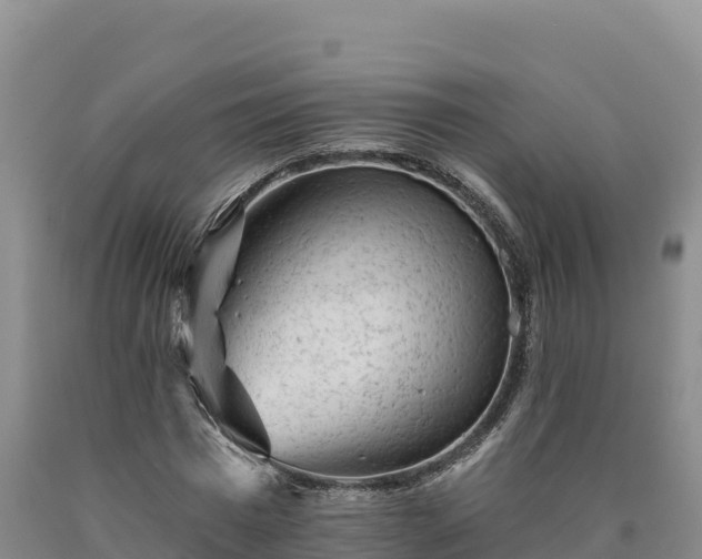 X0000090630777200707241151