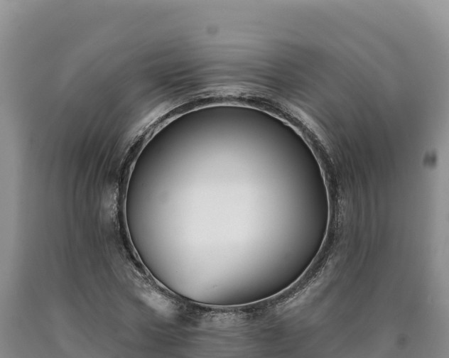 X0000090630778200707241151