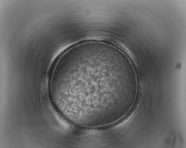 X0000090630779200707241151