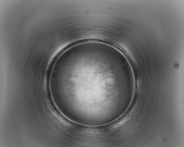 X0000090630780200707241151
