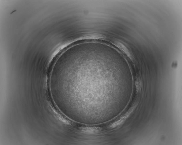 X0000090630781200707241151