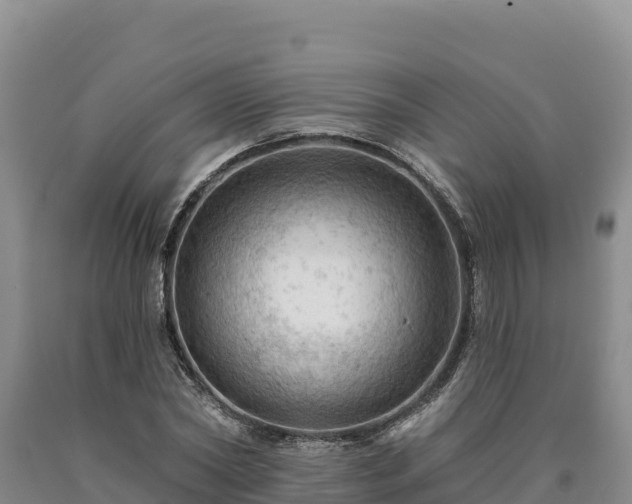 X0000090630782200707241151