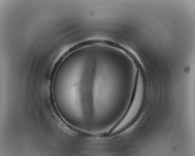 X0000090630783200707241151