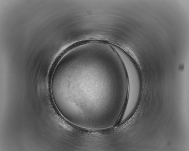 X0000090630784200707241151